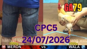 Đá gà thomo CPC5 24-07-2026