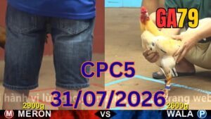 Đá gà thomo CPC5 31-07-2026
